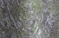 Runsell Green fibreglass roof work